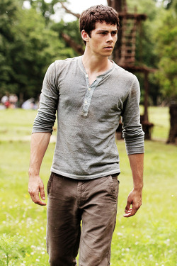 wickedisgood:  Dylan O’Brien as Thomas in The Maze Runner 