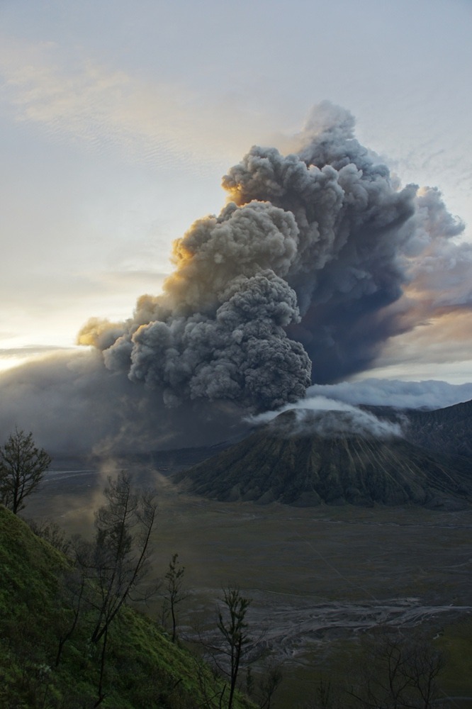 Asian eruption