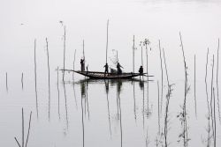 weissewiese:November 28th 2016: Fishermen place bamboo, where they will later place tree branches and fish food, to catch fish in a river in Dhaka, Bangladesh. (Mohammad Ponir Hossain/Reuters)  