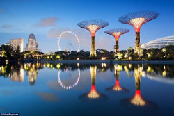 tru2uu:  Gardens By The Bay - Singapore Opened in June 2012, Gardens By The Bay consist of concrete and steel supertrees. This extremely modern (even futuristic) park spans 101 hectares and comprises of “supertrees” that are fitted with solar panels