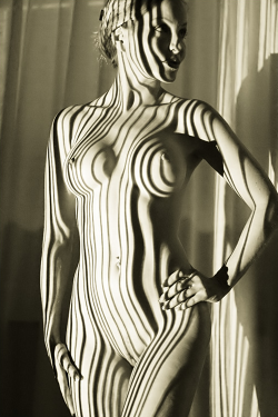 2keep:  hapticperceptions:  La Femme Zebra by digitalrebel-basel      (via TumbleOn)