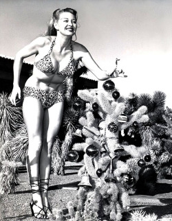 burleskateer:  Vegas showgirl Sunny Knight helps decorate the Christmas Cactus.. 