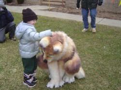bestgreekfoodintown:I thought this was a really large dog for a second, but then the realization hit me.