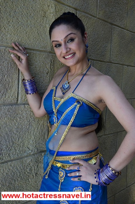 South indian actress masala hot pics