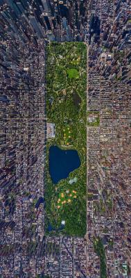 ogfleecethotson:  universoullove:  travishl87:  The world is weird, man. Weird and kinda beautiful.  absolutely fucking beautiful*  silentbutgolden look at the central park one   Wht a world&hellip;