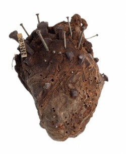 One crazy looking amulet; a sheep&rsquo;s heart, stuck with nails and pins. It was said to have been used to break a spell cast by a witch over a farmer&rsquo;s cattle.