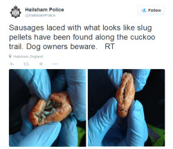 kitty-in-training:  beers-and-tears:  hana-hisaishi:  tigerskinsandotherthings:WARNING to anyone in East Sussex, UK. Police have found sausages laced with slug pellets. A number of dogs have already suffered from suspected deliberate poisoning in the