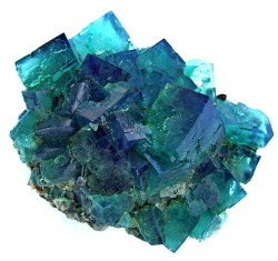 mineralists:  Fluorescent blue and green FluoriteCubic, gemmy crystals of fluorite on matrix from world famous locality - Rogerly Mine. Medium luster. Fluorite cubes are well coloured - green in artificial light with a strong blue daylight fluorescence,