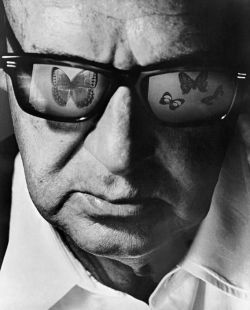 ghostofyesterday:   Vladimir Nabokov photographed by Philippe Halsman, 1968.  Nabokov was a highly knowlegable curator of butterfly and moth specimen, and in a 1958 LIFE article he  stated of his passion “Writing has always been for me a blend of