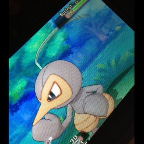 First of the group to find a shiny in Omega Ruby/Alpha Sapphire