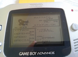 butt-berry:  butt-berry:  butt-berry:  My level 37 Rattata on my Pokemon Yellow cartridge is 14 years old Over a quarter of humans on the planet are younger than my Rattata   Happy 15th birthday Rattata  Happy 17th birthday Rattata 