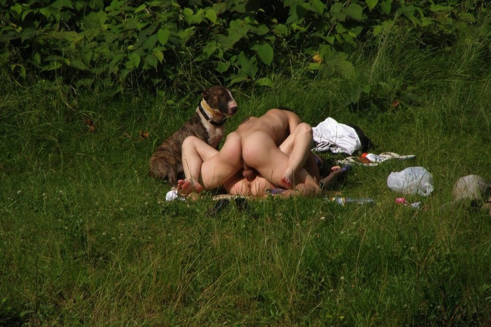 Couples Having Sex Outdoors 25