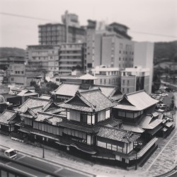 nihongogogo:  moshetei:  tothenexttrail:  #dogo #onsen #morning 朝風呂はもちろん道後温泉ですね。#trip #botsuchan (道後温泉本館)  I LIVE HERE  I want to go here so much!