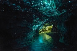 We now take a break from smut to showcase a magical, real place. Glowworm Caves in New Zealand for the win. Ok, I admit it. I want to shoot porn there&hellip; somehow&hellip;