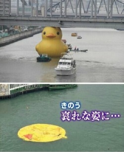 theonenamedperry: constable-frozen:  LEGO - Rubber Duck     Visual Storytelling 
