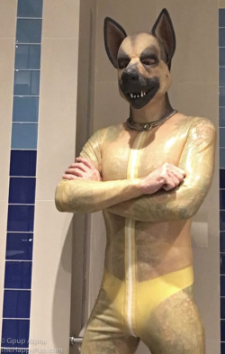 bearconcentrate:  Rubber Puppy! 
