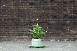arabellesicardi:  mymodernmet:  Studio Ayaskan’s Shape-Shifting Origami Pot Grows with Plant Over Time  CYBORG PLANTIES