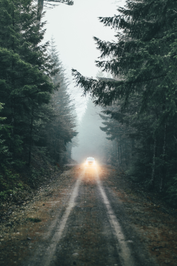 earth-dream:  Forest Roads