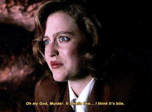 mulderscully:  THE X-FILES | 1.03 — “Squeeze” (1993)