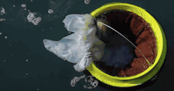 soggywarmpockets:  demsaymention:  thedarkestlove:  pwrd-by-plants:  Cleaning the oceans one step at a time  Two Australians created this container that collects plastic, paper, oil, fuel and detergent floating in the ocean. They want to implement it