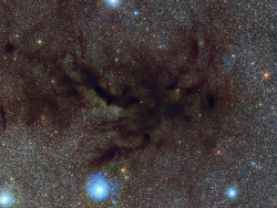 just–space:  The Pipe Nebula; a Vast Dark Cloud of Interstellar Dust  js 