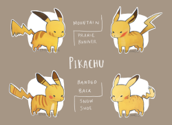 epicawesomepie:More pokemon variations/subspecies! The classique, pikachu! (o^w^o)/