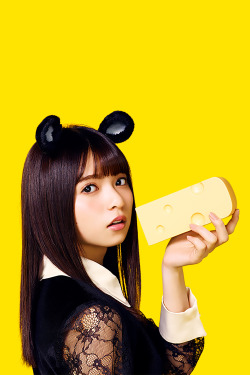 46pic:  Nogizaka46 - mouse