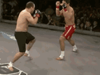 mma-gifs:  Strikeforce: Frank Shamrock vs. Cesar Gracie  Cesar is the bitch of the whole Gracie family. There&rsquo;s a reason he&rsquo;s barely mentioned at all.