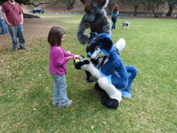 aceofheartsfox:  On the note of making kids smile :) We played fetch with that little girl until we were exhausted. lol. But it totally made her day, and her mother invited us to fursuit at her birthday party in June since she enjoyed our characters so