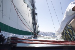 solitudeseeking:  Setting sail on a 30’ Newport