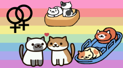 everyoneislesbians:  All of the Neko Atsume cats are lesbians. 