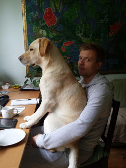 awesome-picz:    Dogs That Don’t Care About Your Personal Space.