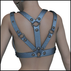 	Add cool new items to Victoria 4&rsquo;s wardrobe.  	Ideal for scifi, fetish or post apocalyptic scenes, our Shadow Harness won&rsquo;t fail.  	   	You get:  	-conforming Harness for Victoria 4  	-conforming Nipple Piercings for Victoria 4  	-6 Mats