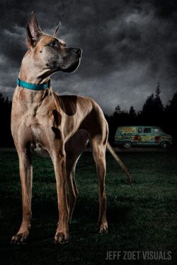 sex-weights-protein-shakes:  truelyhumbling:  teithio-cariad:  everythingmakesmewild:  kkallicat:  codiak723:  firecrackerheart:  Scooby Scooby Do-We’ve Got Some Work To Do Now..  Now THIS should have been the Scooby Doo movie!  Holy YES  Omg  SPN episode