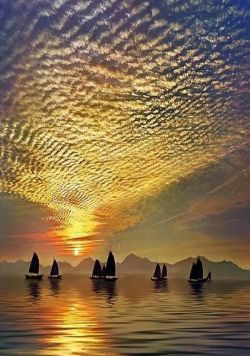 duivelseiphotography:  Sailing the Seas of Hong Kong  Wow