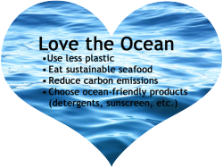 seafoodwatch:    Treat the ocean well. It’s everyone’s life partner. #ValentinesDay
