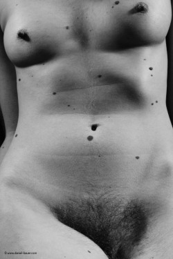 torso, by Daniel Bauer