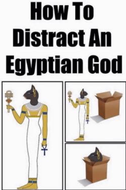 heyfunniest:  “How to distract an Egyptian Goddess” http://ift.tt/2iupWSA