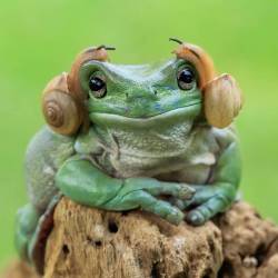 itsnotthatcompelling: manhood:  She is giving us a LOOK  is this princess leia? 