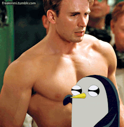 keepersoftheshire:  tom-nippleston:  If this isn’t already on your blog then you’re doing life wrong  i am that penguin. 