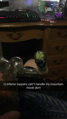 sexhaver:one of my brother’s cousins is 17 and running this weed instagram where he invents weed slang that’s outlandish even by california standards and the house has slowly stopped speaking english as we imitate it