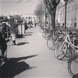 #so many bikes