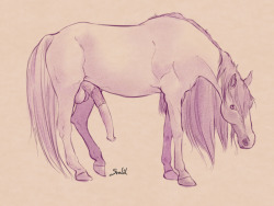 svadilsartbook:  Feral Horse Water Color 