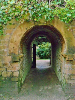 vwcampervan-aldridge:  Ivy covered tunnel to walled secret garden, Newstead Abbey, Derbyshire,England All Original Photography by http://vwcampervan-aldridge.tumblr.com 