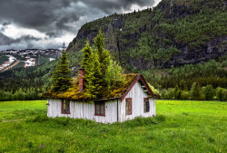 abandonedandawesome: Abandoned home in Rollag, Buskerud, Norway reclaimed by nature [1024 × 681] By Europe Trotter 