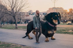 mymodernmet:  Guy Photoshops Tiny Dog to Reflect How Big She Thinks She Is 