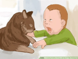 WikiHow Cat Illustrations