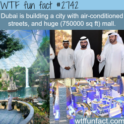 wtf-fun-factss:  Dubai building a crazy new project - WTF fun facts