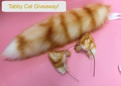 kittensplaypenshop:  Win a Ginger Tabby Cat Set from Kitten’s Playpen! &lt;3 All you have to do,is reblog this post! Giveaway ends Aprill 30th 2016. Goodluck! 