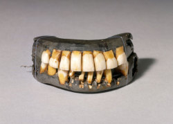 afrodiaspores:  George Washington’s dentures, ca. 1780s More than his teeth were false, as Michael Coard and others have documented:  Although Washington considered his enslaved [B]lack workers unworthy of proper clothing (among other items), he certainly